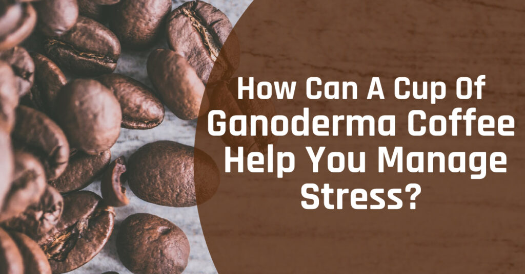 How-Can-A-Cup-Of-Ganoderma-Coffee-Help-You-Manage-Stress